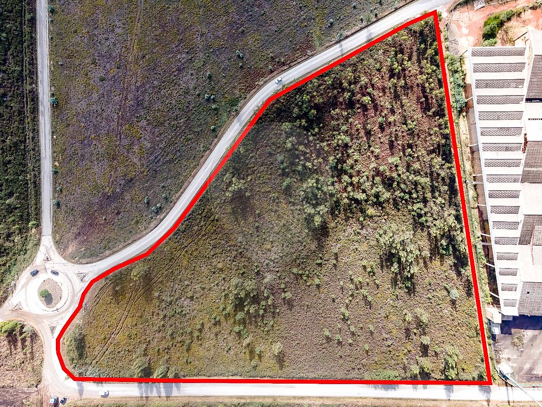 Land for sale in Anadia, Portugal — €499,999