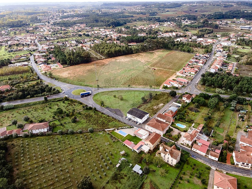 Land for sale in Anadia, Portugal — €160,000
