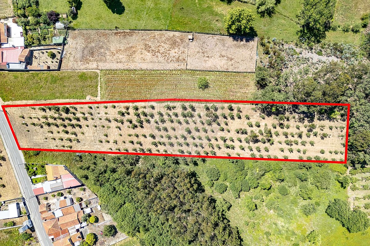 Land for sale in Oliveira do Bairro, Portugal — €54,950
