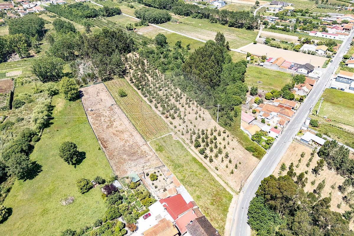Terreno - Bustos, Troviscal e Mamarrosa, Oliveira do Bairro, Aveiro