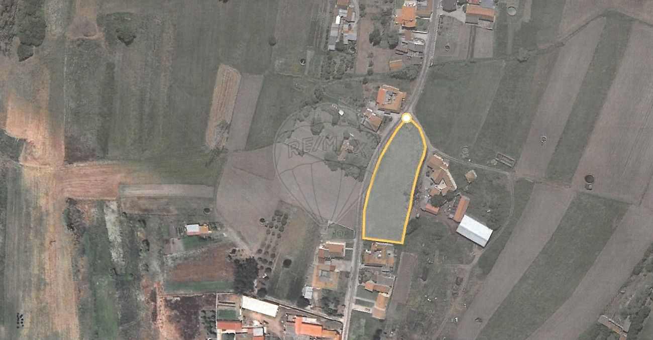Terreno em Montemor-o-Velho
