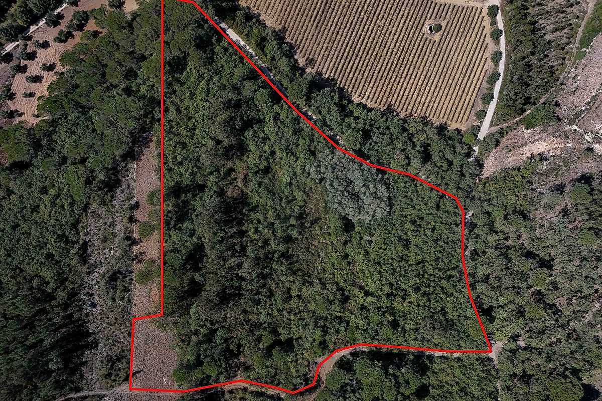 Terreno  à venda em Cantanhede