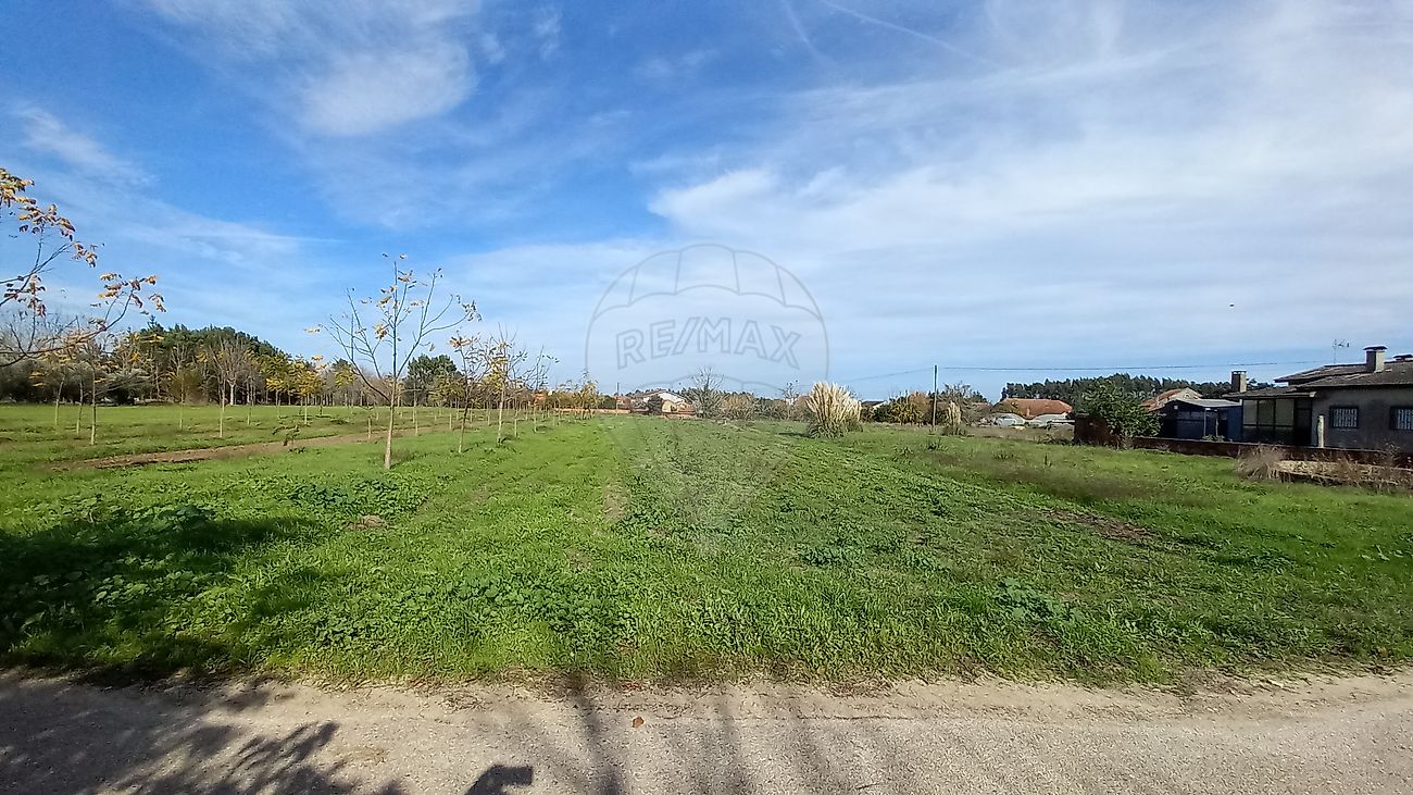 Terreno  à venda em Anadia