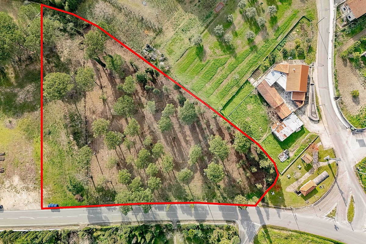 Terreno  para venda