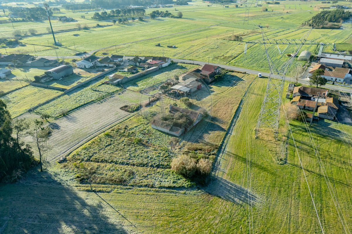 listing 124821070-21 picture-0