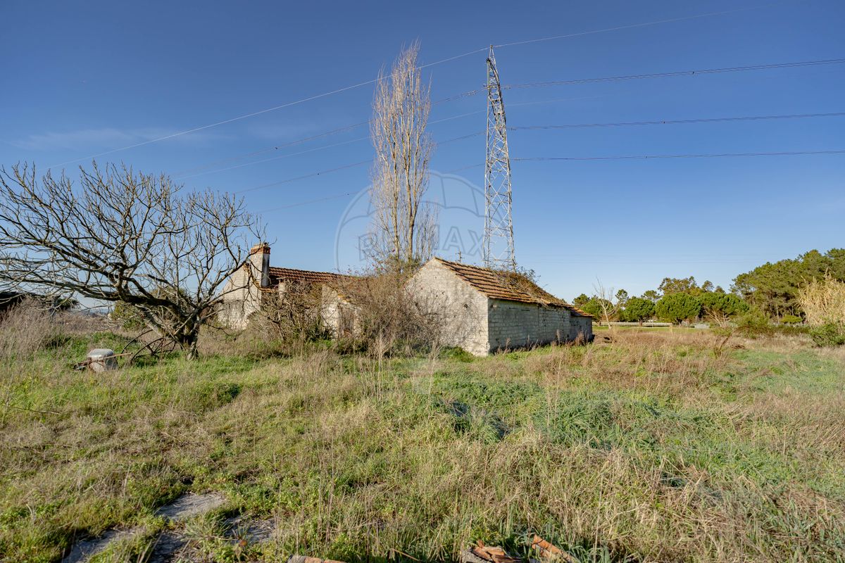 listing 124821070-21 picture-0