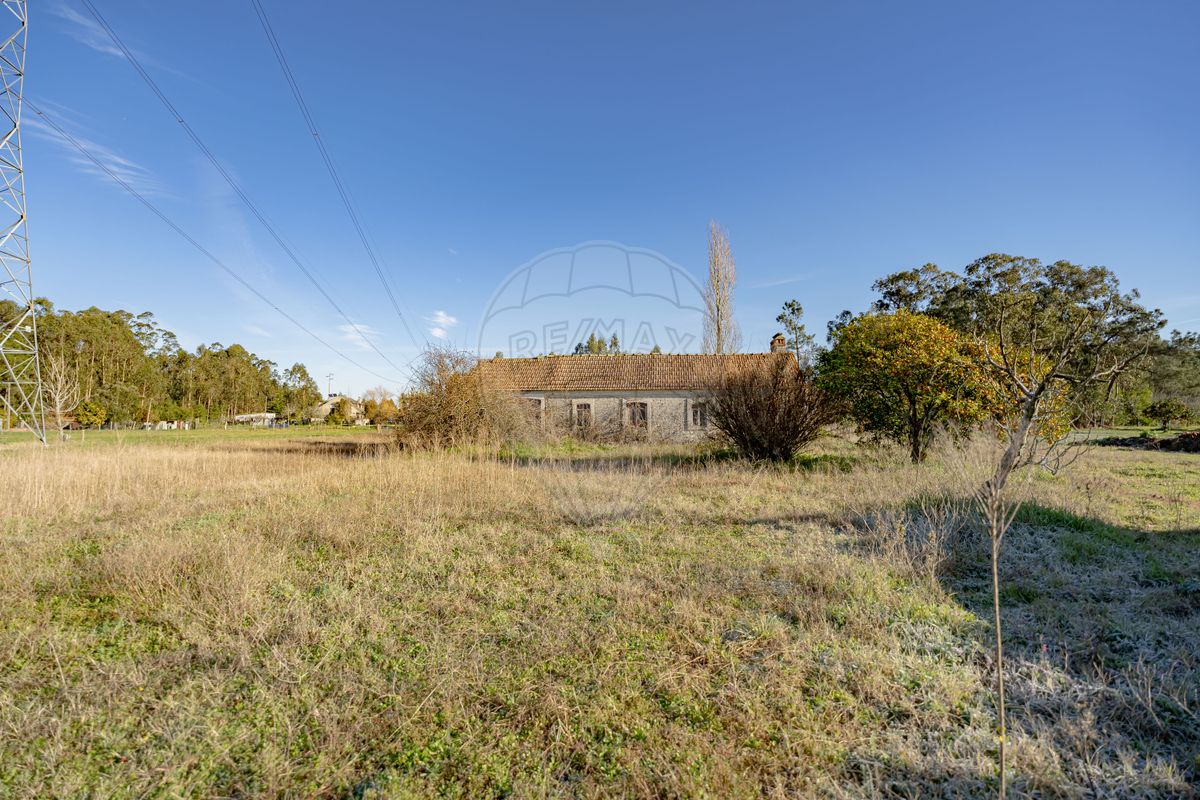 listing 124821070-21 picture-0