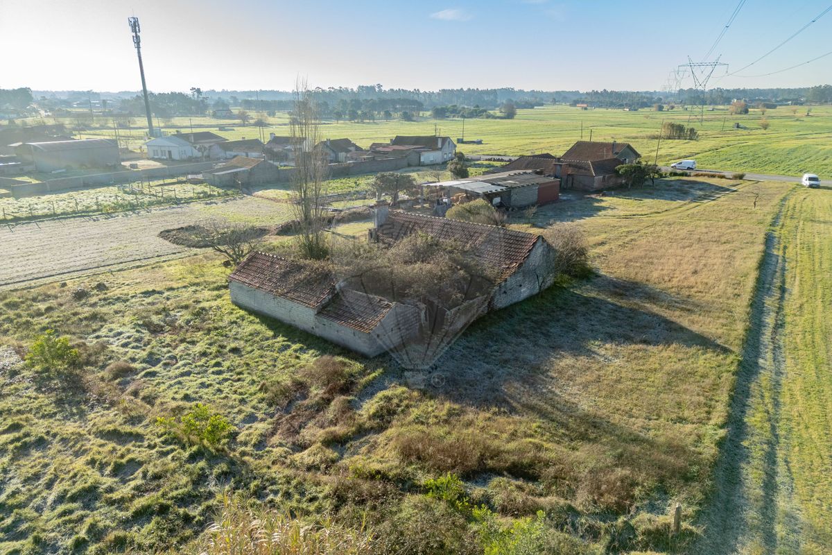 listing 124821070-21 picture-0
