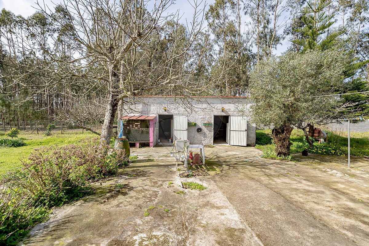 listing-picture-0