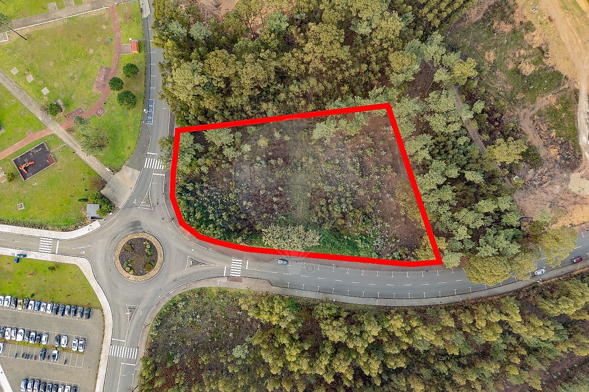 Land for sale in Anadia, Portugal — €250,000