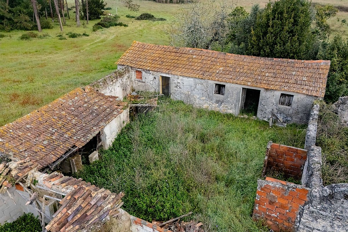 Quinta - Arazede, Montemor-o-Velho, Coimbra