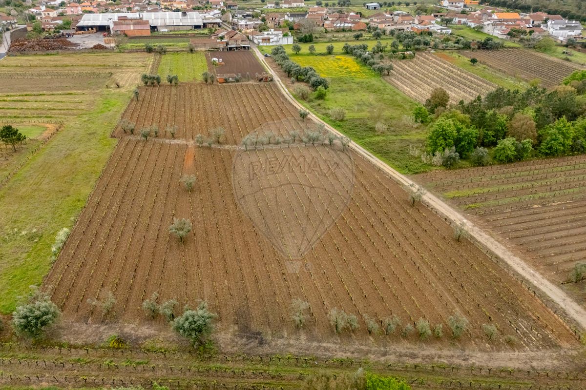 Terreno para venda