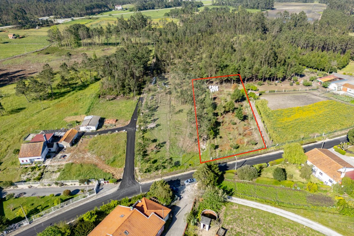 Terreno  para venda