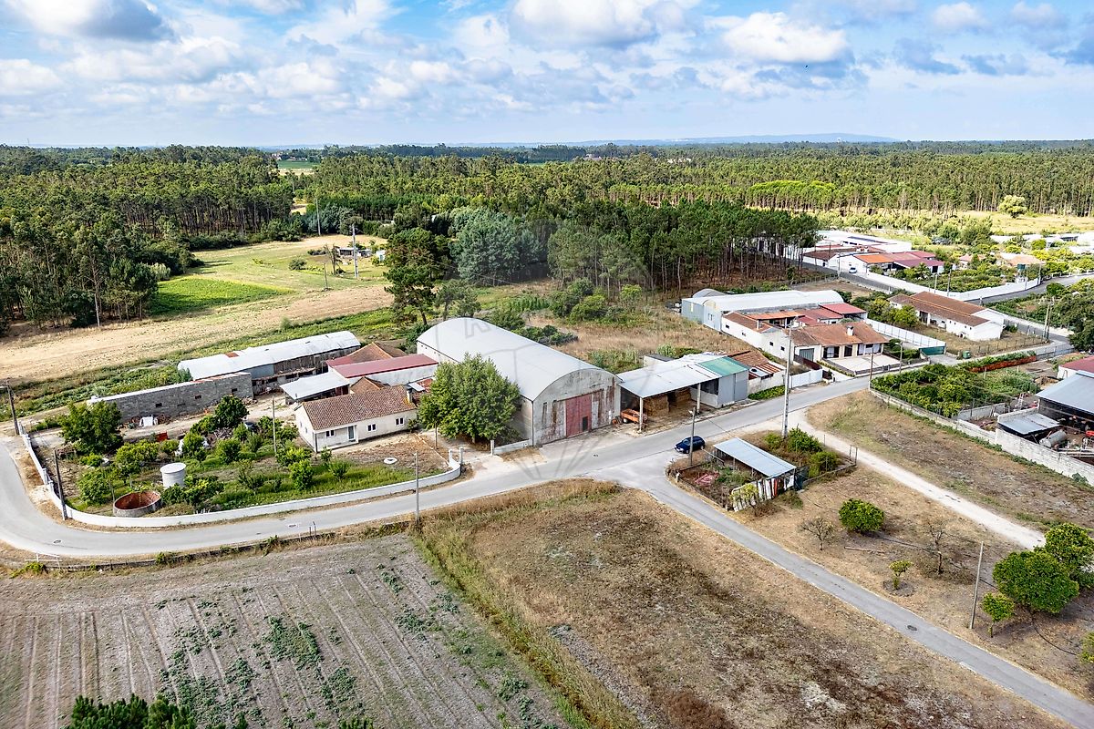 Armazém  para venda