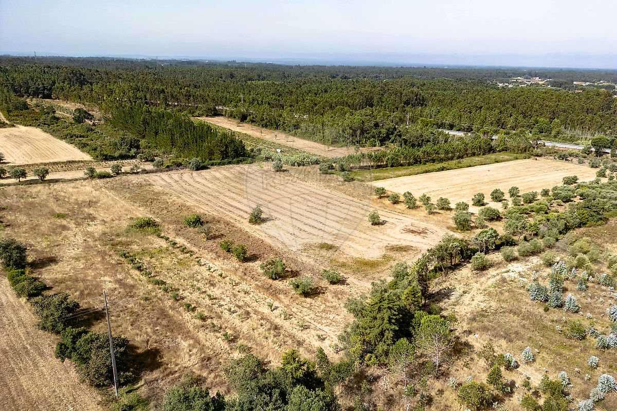 Terreno para venda
