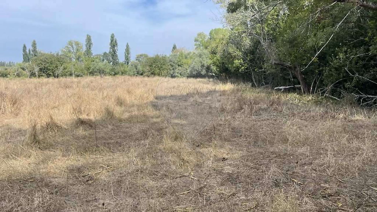 Terreno  para venda