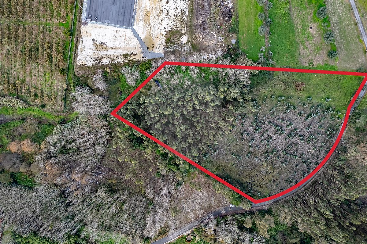Terreno - Ourentã, Cantanhede, Coimbra