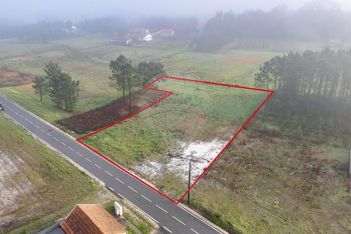 Terreno - Sanguinheira, Cantanhede, Coimbra