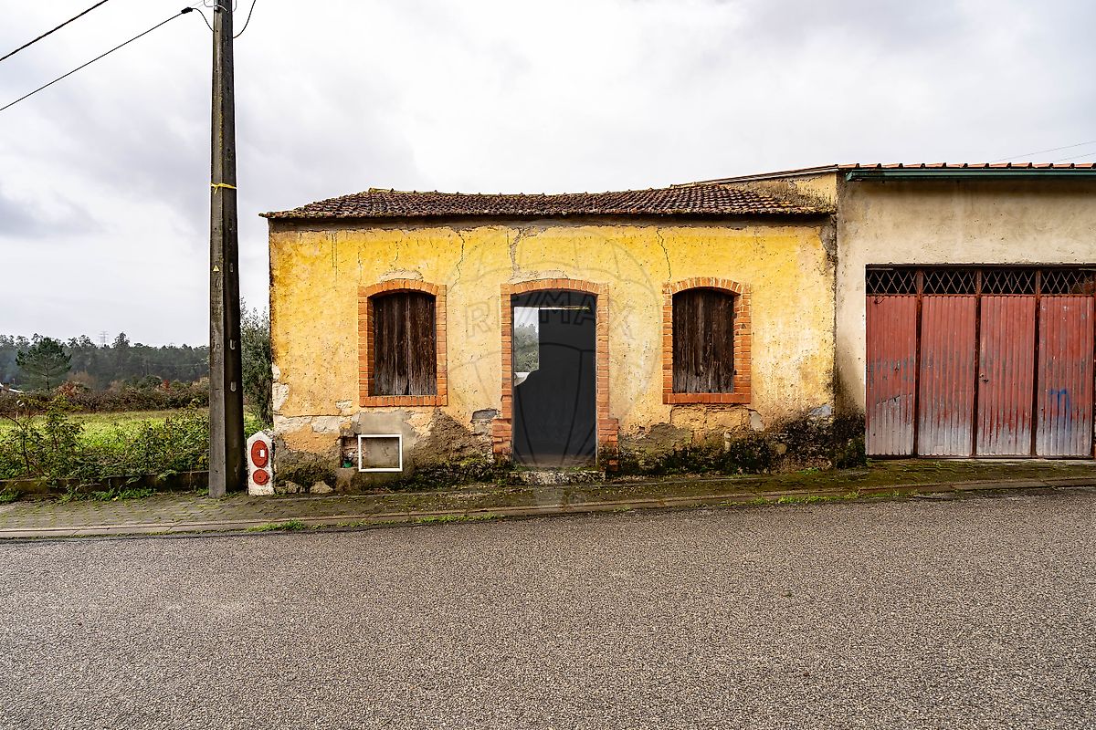 Arrecadação - Murtede, Cantanhede, Coimbra