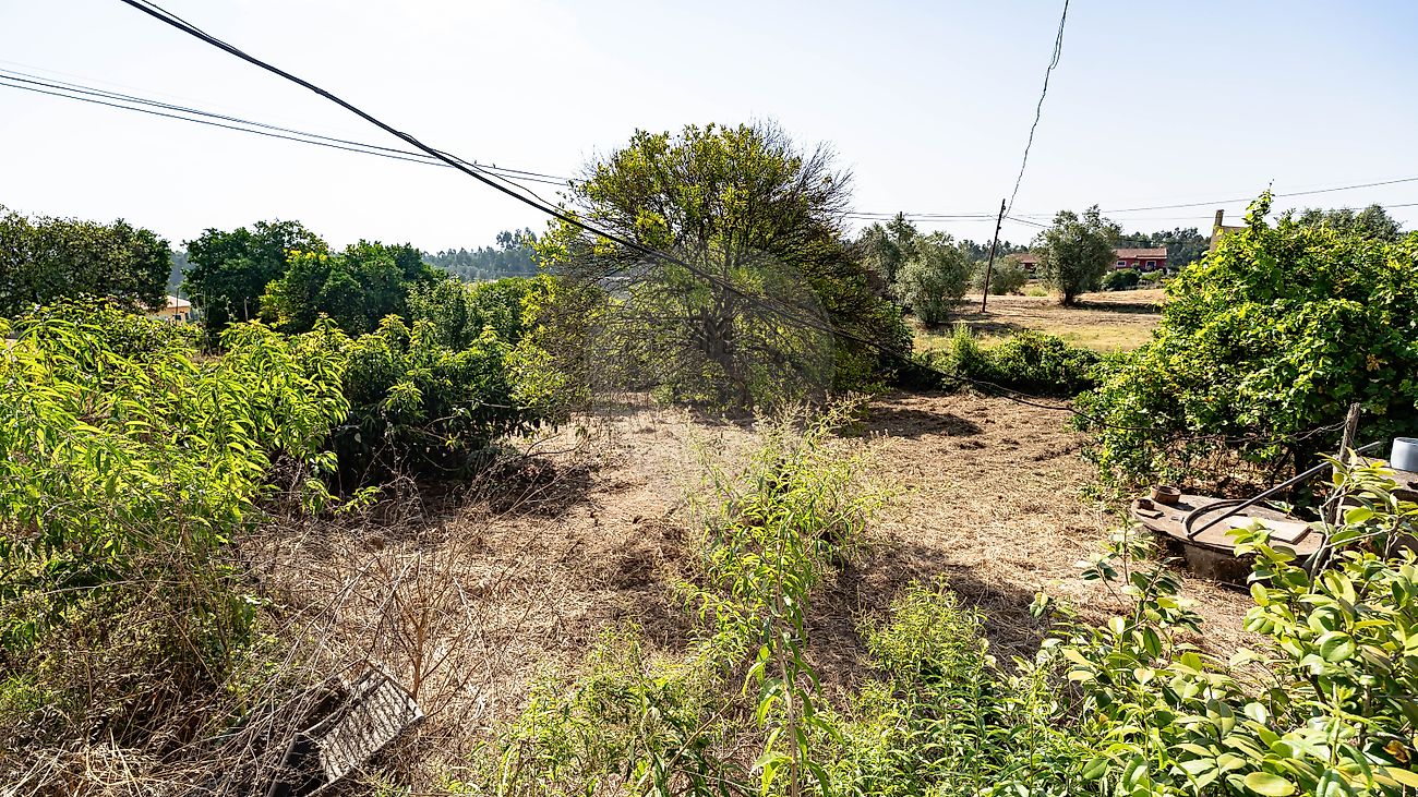 Moradia T5 à venda em São Martinho de Árvore e Lamarosa, Coimbra — foto 39