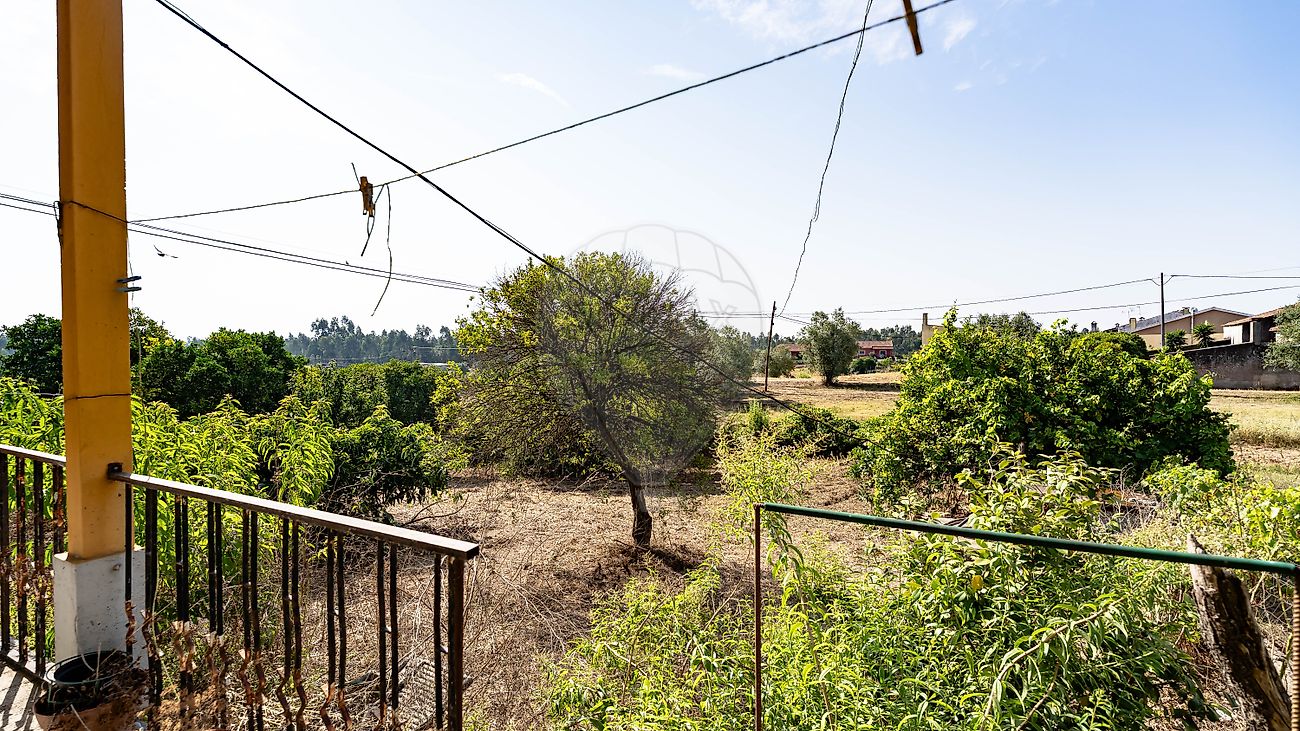 Moradia T5 à venda em São Martinho de Árvore e Lamarosa, Coimbra — foto 38
