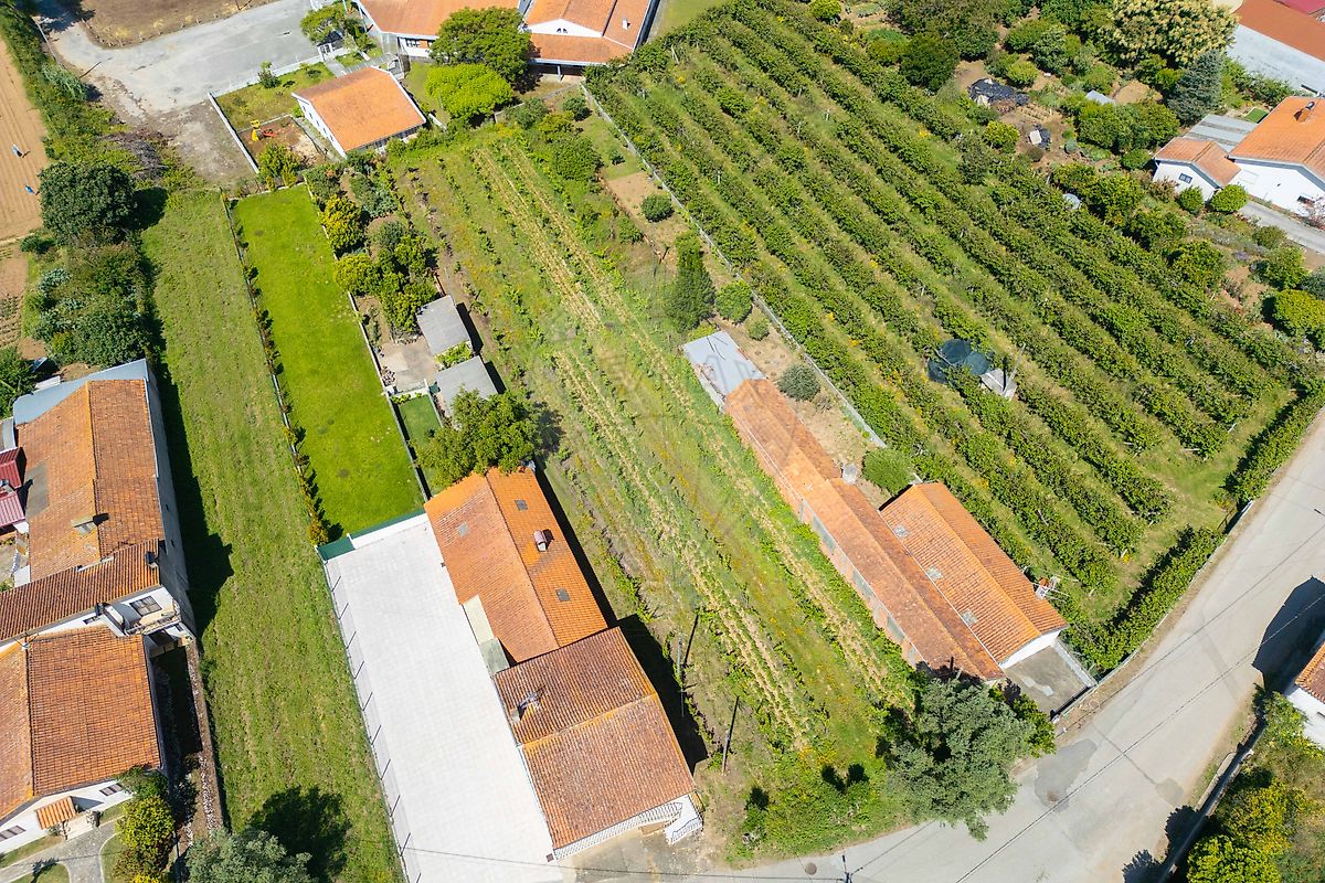 Terreno - Vilarinho do Bairro, Anadia, Aveiro