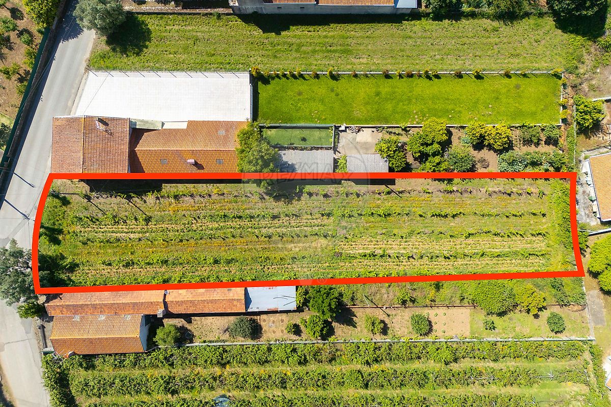 Terreno à venda em Anadia