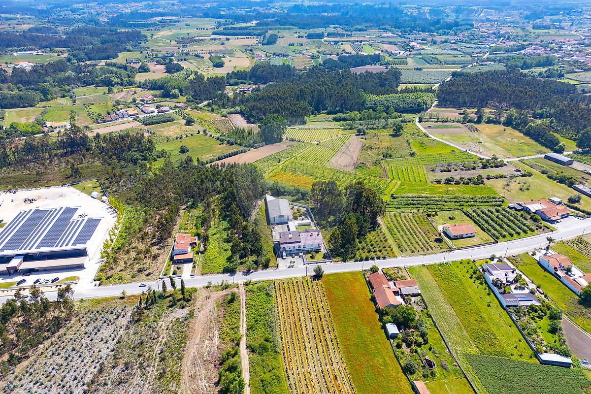 Terreno - Covões e Camarneira, Cantanhede, Coimbra