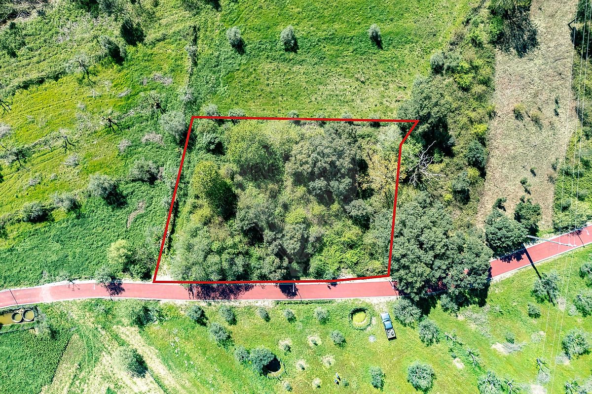 Terreno - Poiares (Santo André), Vila Nova de Poiares, Coimbra