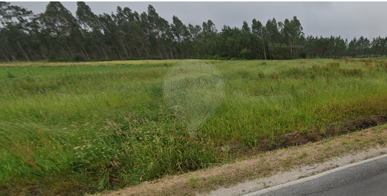 Terreno à venda em Montemor-o-Velho
