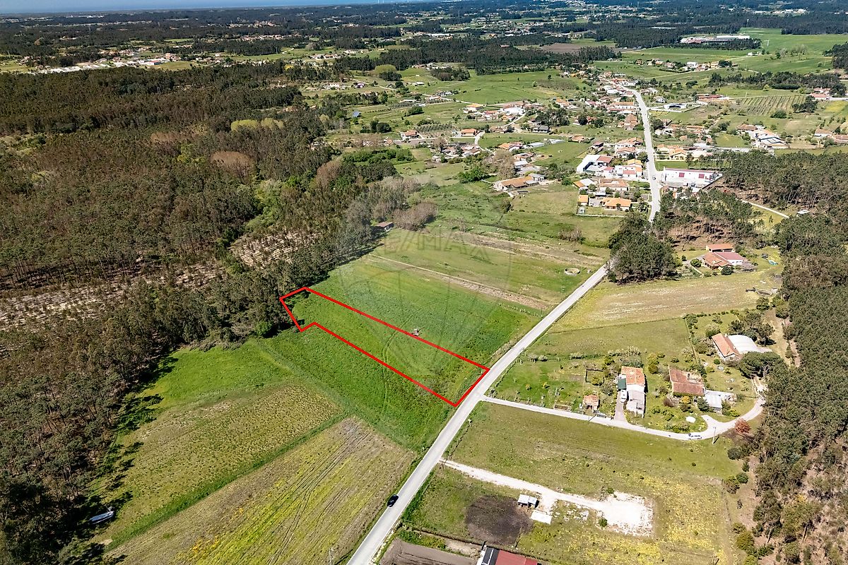 Terreno - Arazede, Montemor-o-Velho, Coimbra