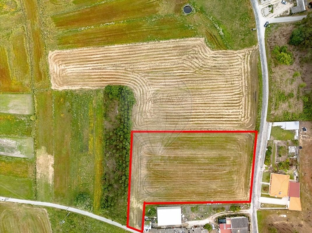 Terreno - Arazede, Montemor-o-Velho, Coimbra