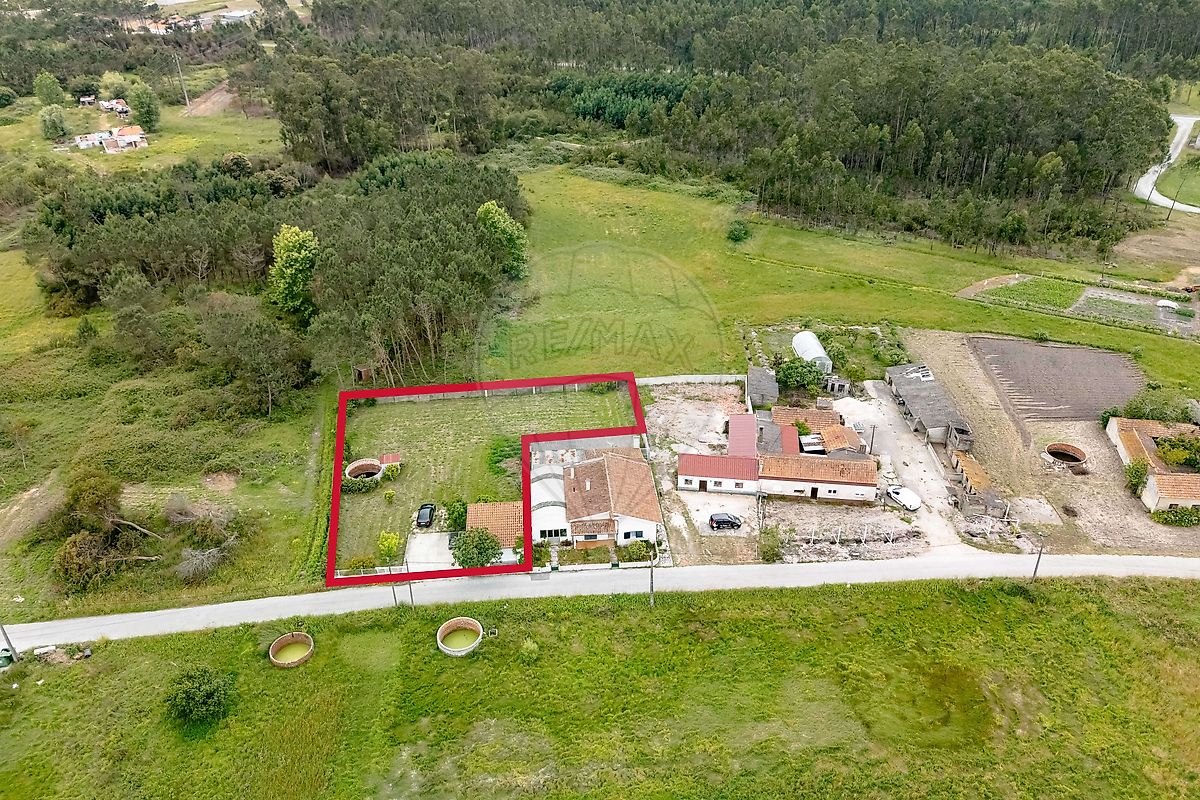 Terreno - Arazede, Montemor-o-Velho, Coimbra