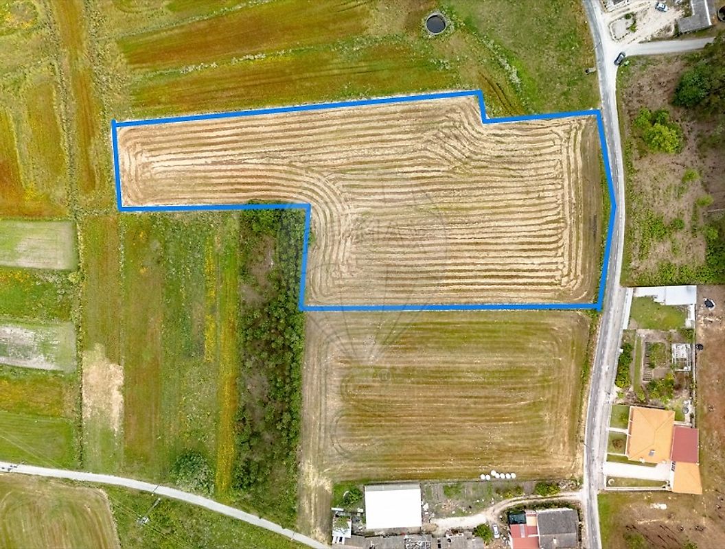 Terreno - Arazede, Montemor-o-Velho, Coimbra