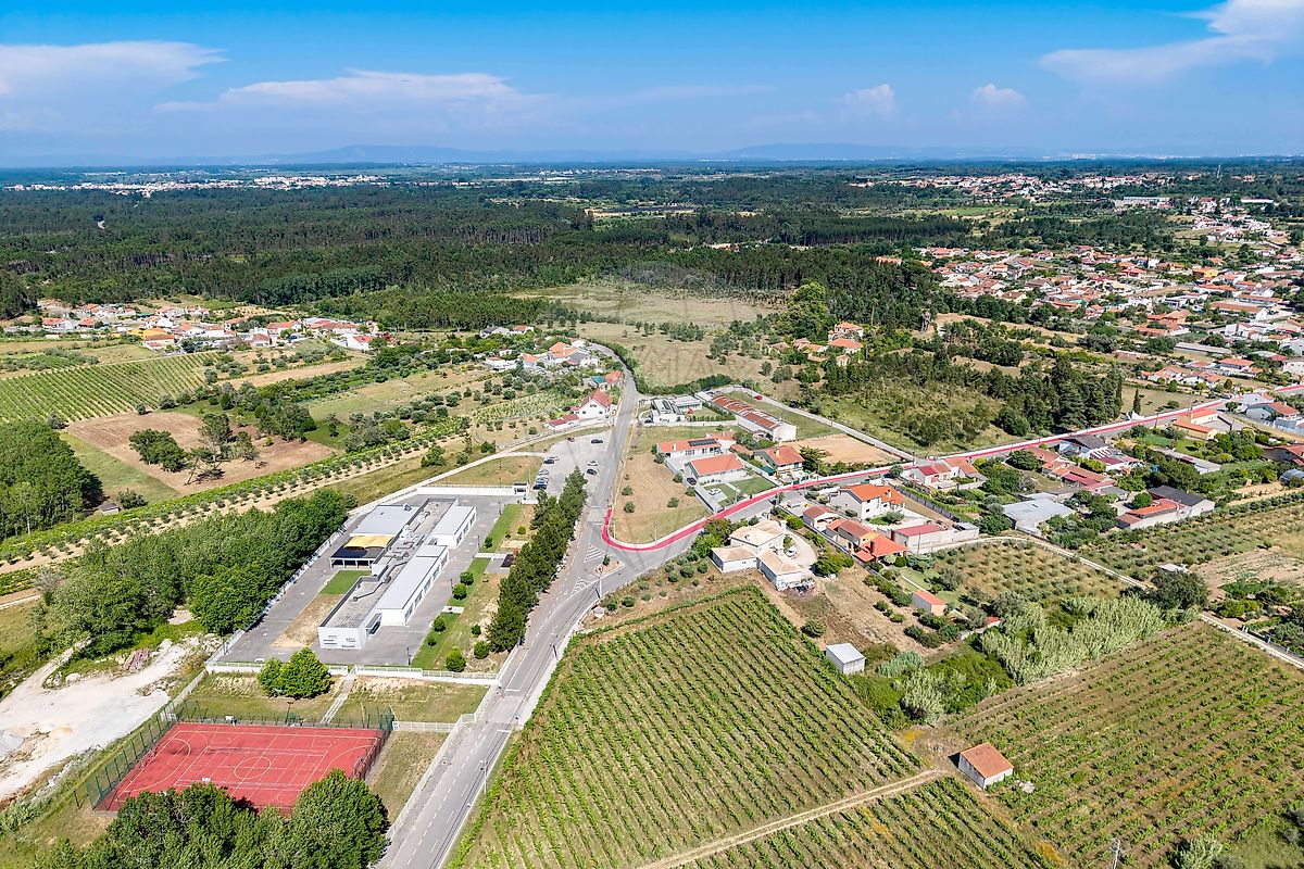 Terreno - Cadima, Cantanhede, Coimbra