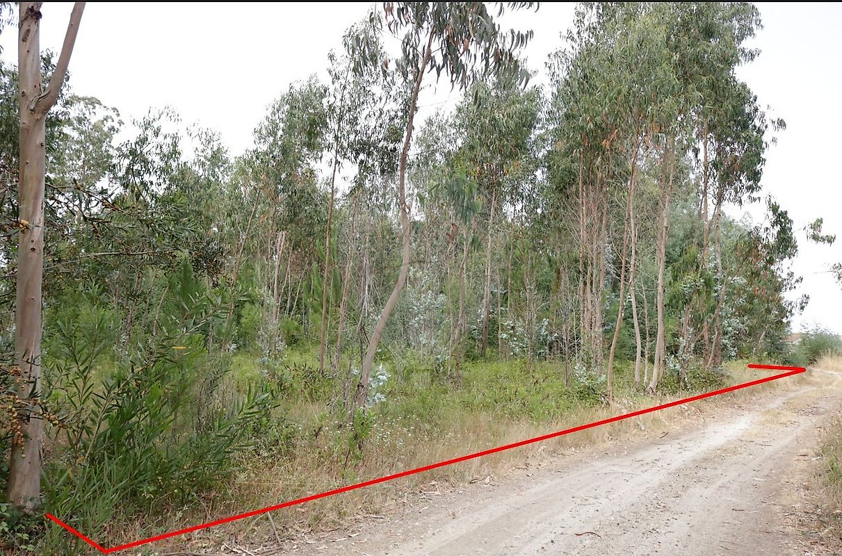 Terreno - Tocha, Cantanhede, Coimbra