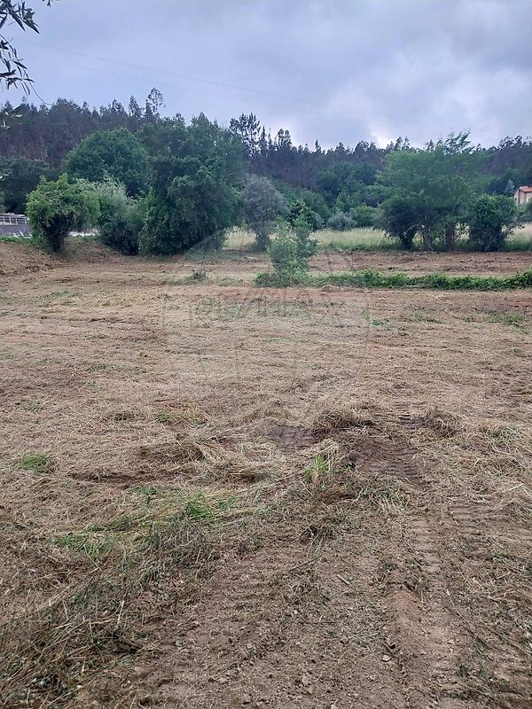 Terreno - Poiares (Santo André), Vila Nova de Poiares, Coimbra