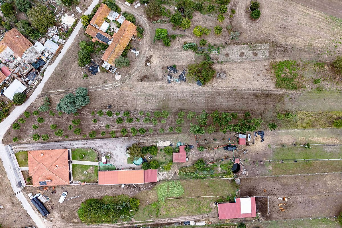 Terreno - Arazede, Montemor-o-Velho, Coimbra