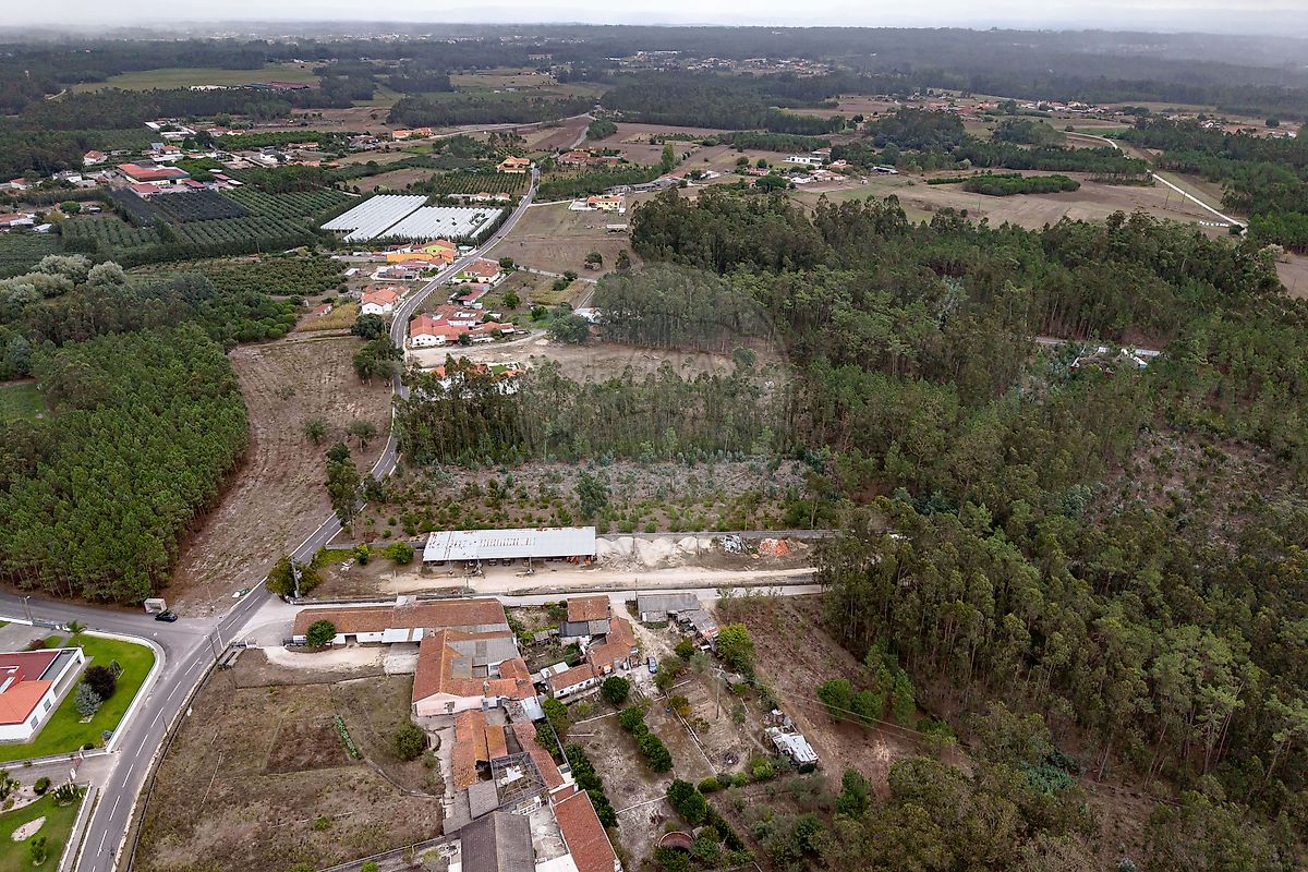 Terreno - Arazede, Montemor-o-Velho, Coimbra