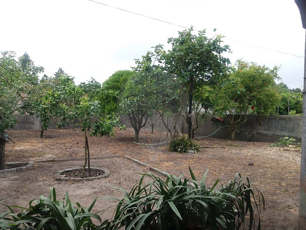 Moradia T4 à venda em Fonte de Angeão e Covão do Lobo, Vagos — foto 28