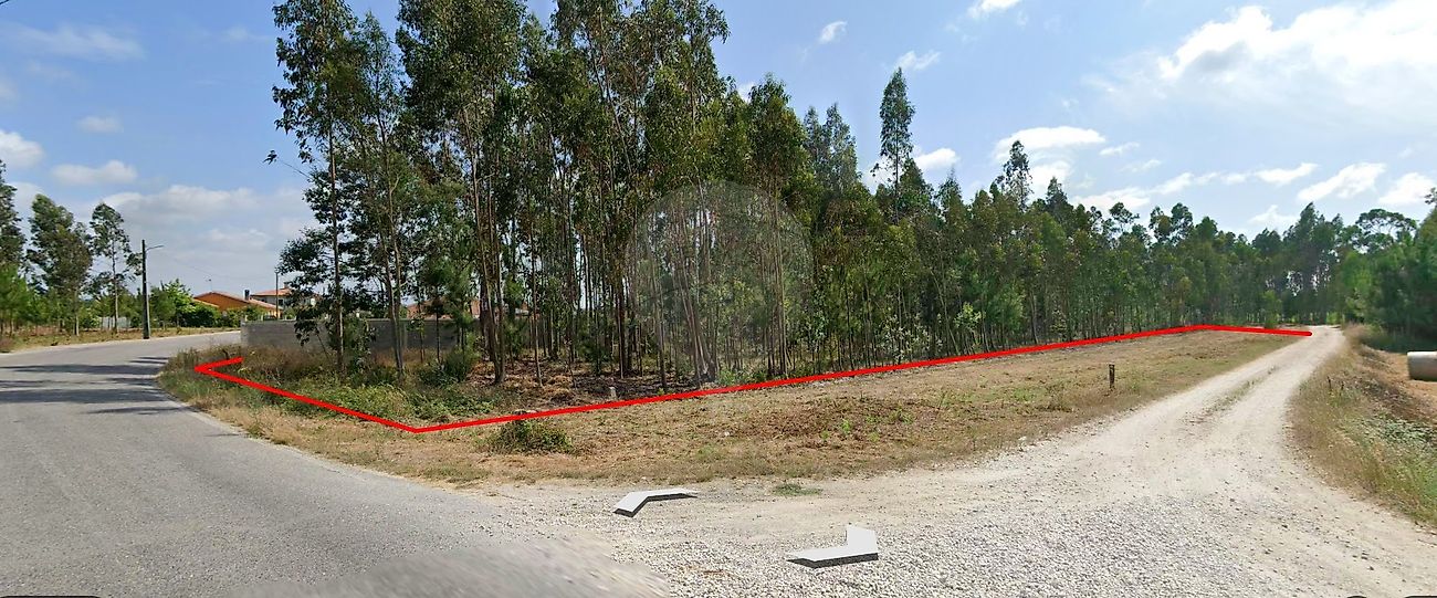 Terreno - Carapelhos, Mira, Coimbra