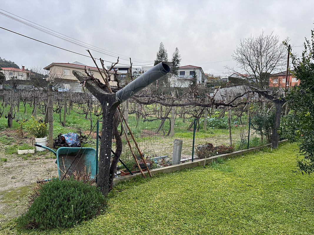 Terreno - Infias, Vizela, Braga