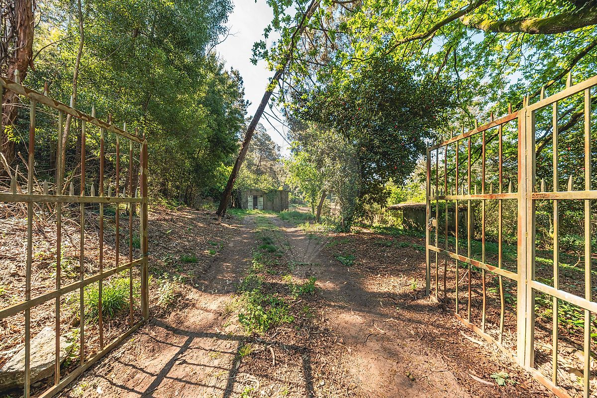 Moradia - Chorente, Góios, Courel, Pedra Furada e Gueral, Barcelos, Braga