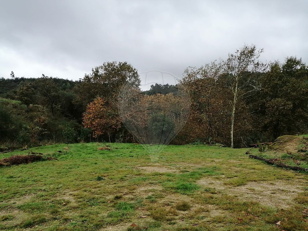 listing 124851256-1 picture-0
