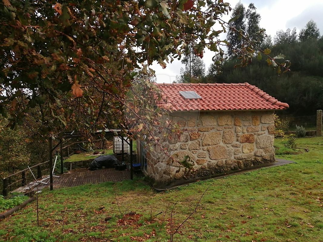 listing 124851256-1 picture-0