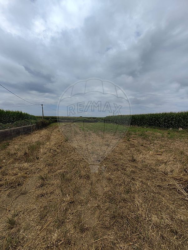 Terreno para arrendar em Matosinhos