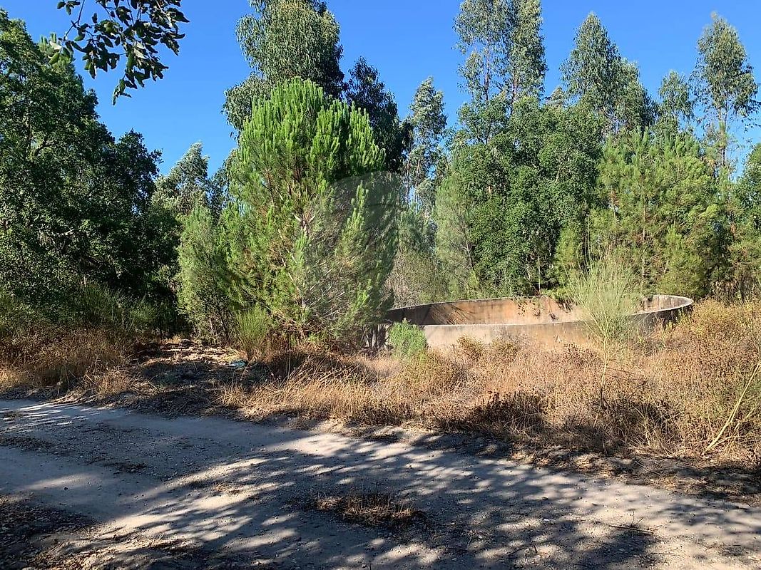 Land for sale in Coruche, Portugal — €95,000