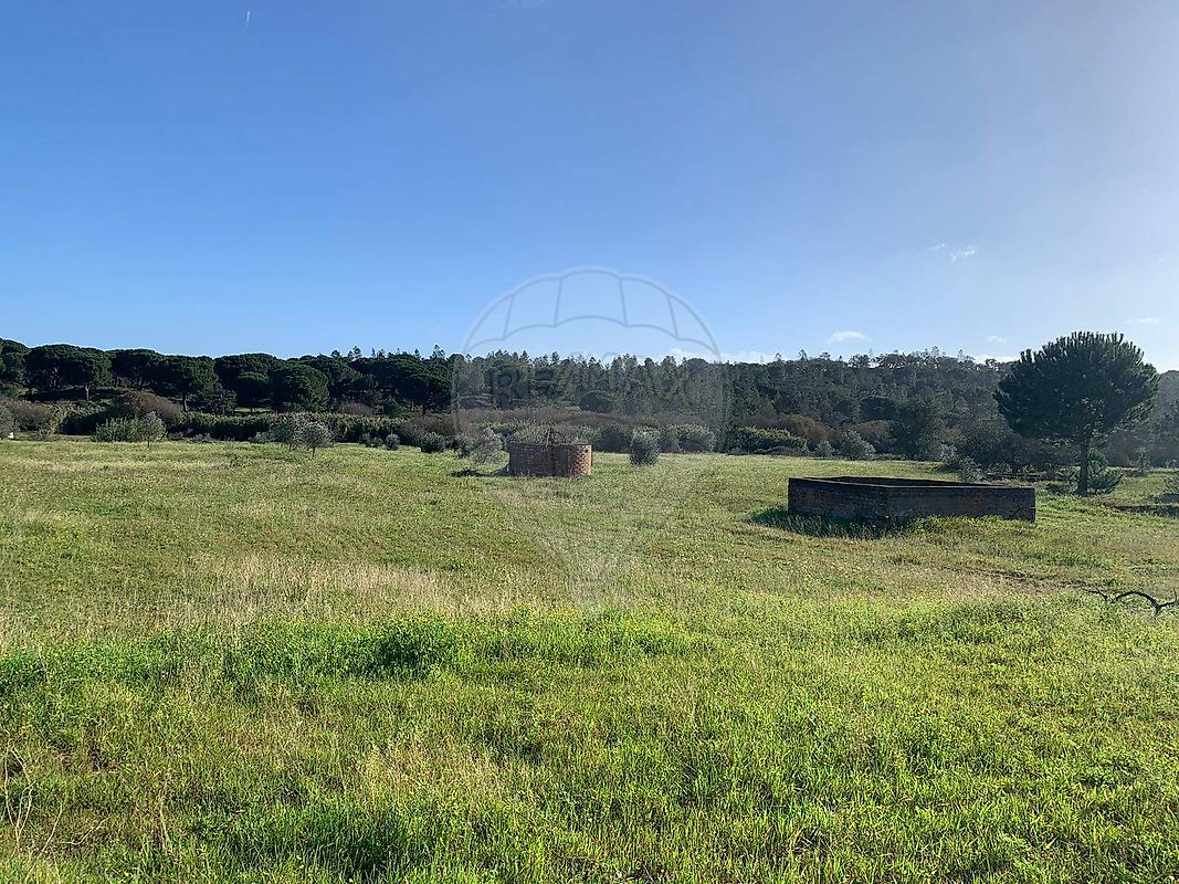 Terreno em Coruche