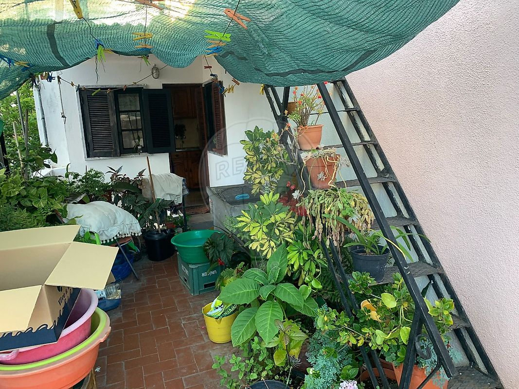 Moradia T3 à venda em Couço, Coruche — foto 16