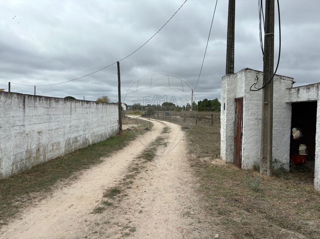 listing-picture-0